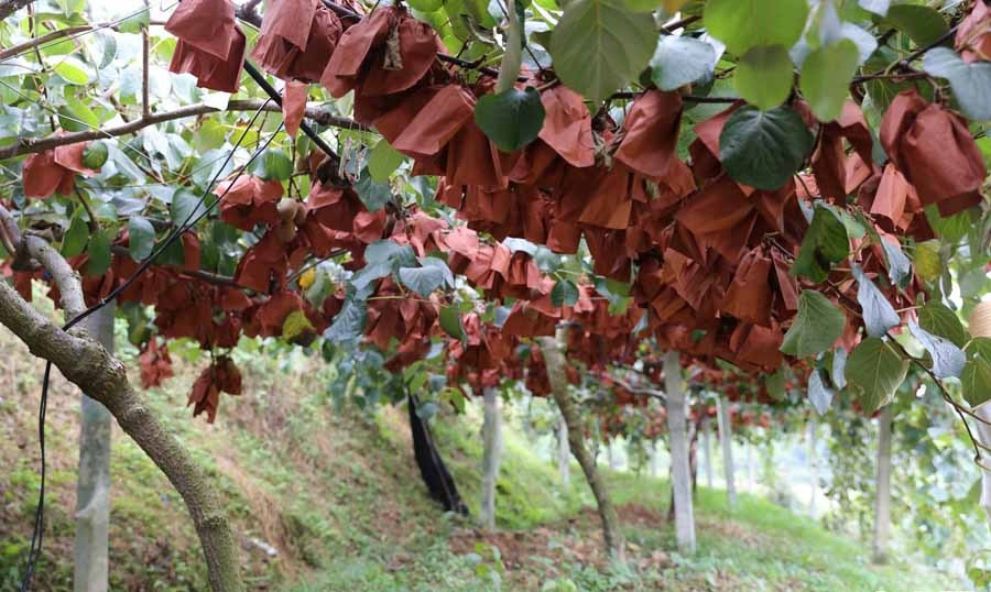 f0038ca4e5031b240a1208.jpg f0038ca4e5031b240a1208.jpg