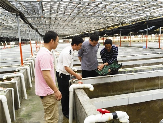 W020171120587960832399.jpg W020171120587960832399.jpg