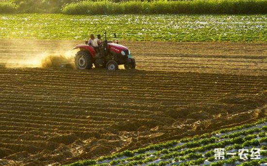 农业部:倡导“亲土种植”新理念 提升耕地质量保护促发展