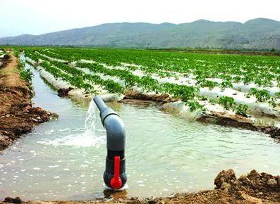 成绩优异:我国农业灌溉用水总量五年实现零增长