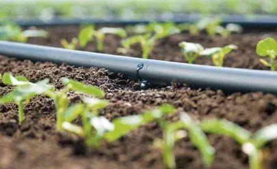 成绩优异:我国农业灌溉用水总量五年实现零增长