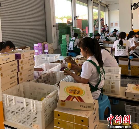 闽西武平县百香果冷链分拣中心配送车间,工人们对百香果进行包装发货。 王发祥 摄