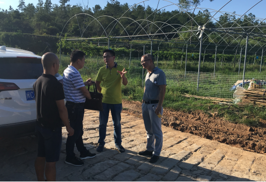 简讯 泉州市效能办2018年第三轮督查我局食品“一品一码”工作476.png 简讯 泉州市效能办2018年第三轮督查我局食品“一品一码”工作476.png