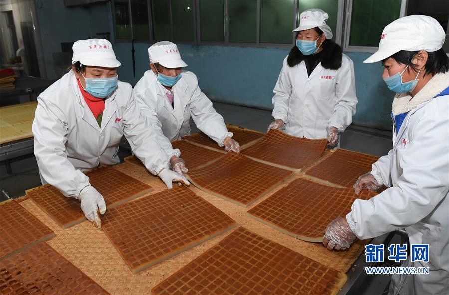 (丰收的味道)(3)福建松溪:“百年蔗”喜丰收