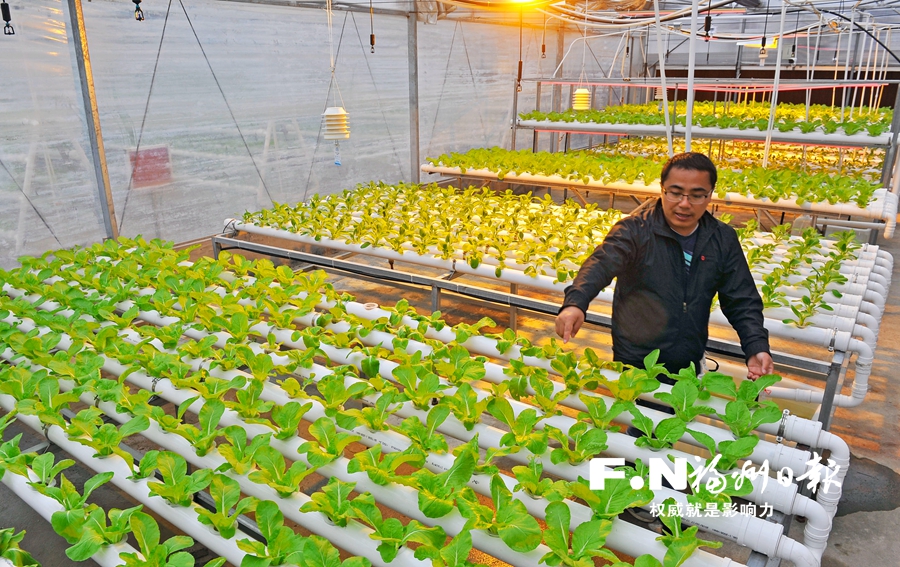 福州农业越来越“聪明” 去年农林牧渔总产值是1978年的191倍