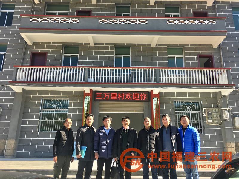 省派宁德市驻村干部领队王业洲(右二)一行莅临三万里村调研.jpg