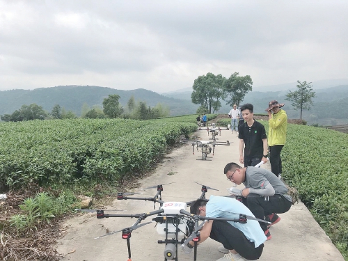 八闽大地托管兴