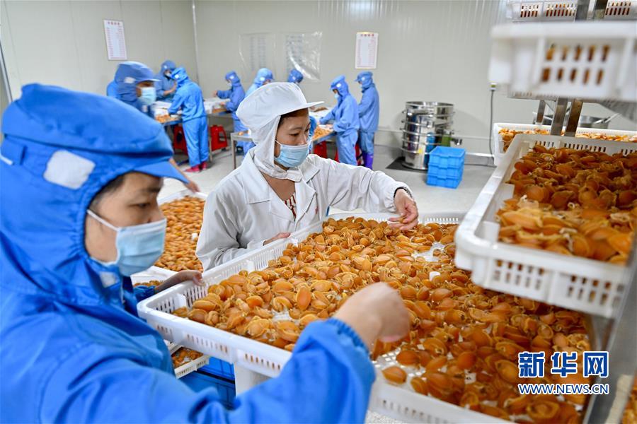 (经济)(6)技术革新促“中国鲍鱼之乡”产业升级