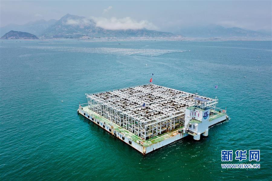 (经济)(1)技术革新促“中国鲍鱼之乡”产业升级