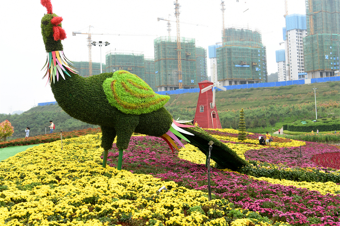 紫金山体育公园菊花展与正在建设的新城(吕洪荣摄).jpg