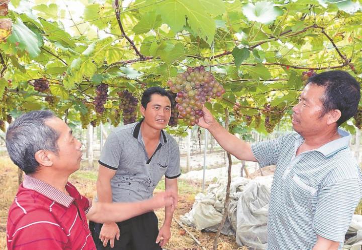 a6415fef0d3f401a8ace01f296c6239d.png a6415fef0d3f401a8ace01f296c6239d.png