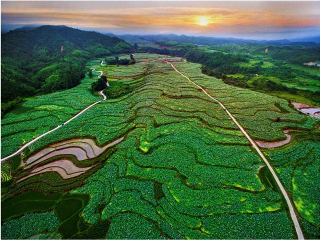 下载.jpg 下载.jpg