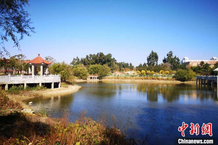 西埔村废弃石坝垃圾场变身湿地公园。 晋江市农业农村局 供图 西埔村废弃石坝垃圾场变身湿地公园。 晋江市农业农村局 供图