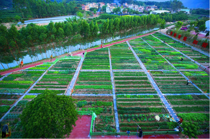 稿4 福建龙海:“近邻党建”敲开东马村“幸福门”1018.png