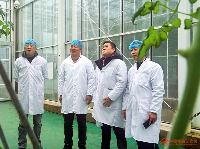 2月25日,福建省农科院党员专家到福建丰圣农业公司智能蔬果大棚指导春耕 龚建军 摄.jpg