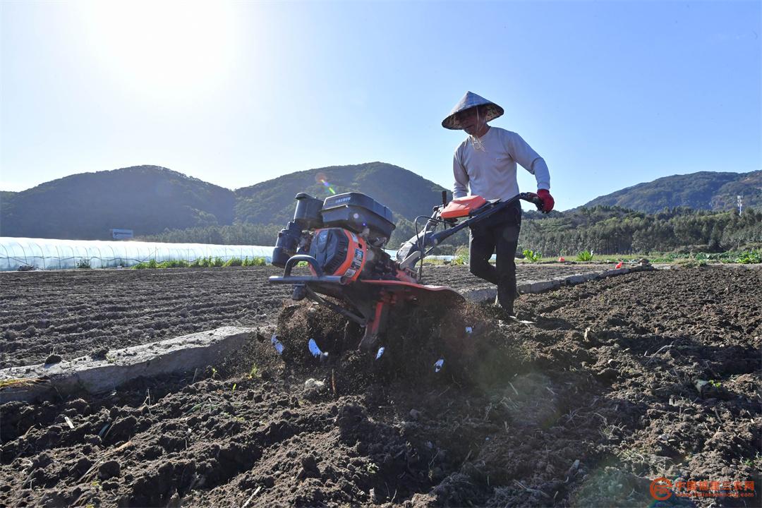 3月9日,在福建省泉州市泉港区涂岭镇五社村农户在耕翻土地准备新一轮的耕种。2.jpg