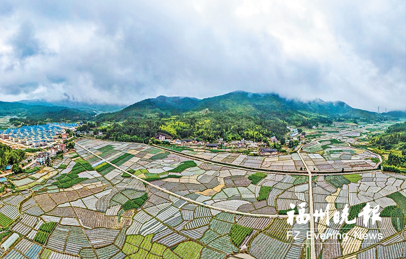 闽侯新塘:党建引领致富 “数智”提升治理 闽侯新塘:党建引领致富 “数智”提升治理