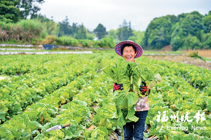 闽侯新塘:党建引领致富 “数智”提升治理 闽侯新塘:党建引领致富 “数智”提升治理
