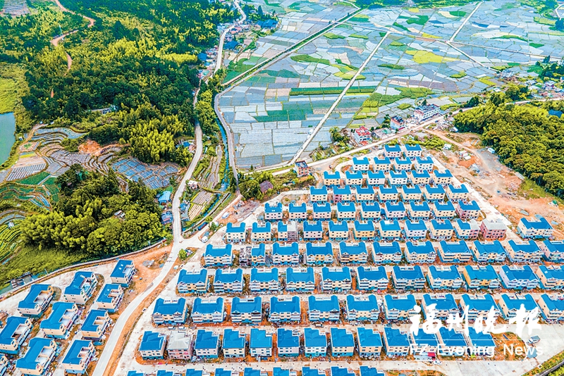 闽侯新塘:党建引领致富 “数智”提升治理 闽侯新塘:党建引领致富 “数智”提升治理