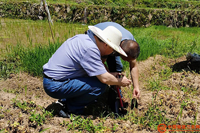 3 在富溪镇花坪村调研.jpg