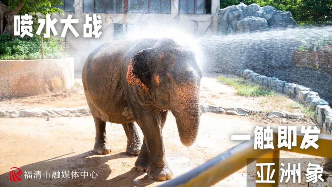 热热热！来福清这里围观“避暑大戏”！