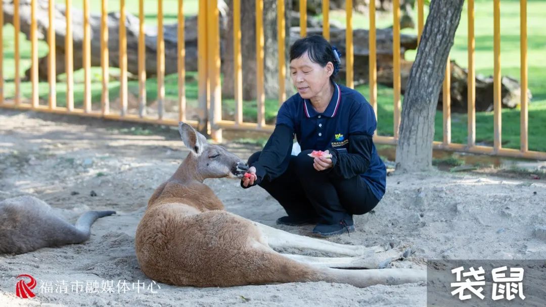 热热热！来福清这里围观“避暑大戏”！