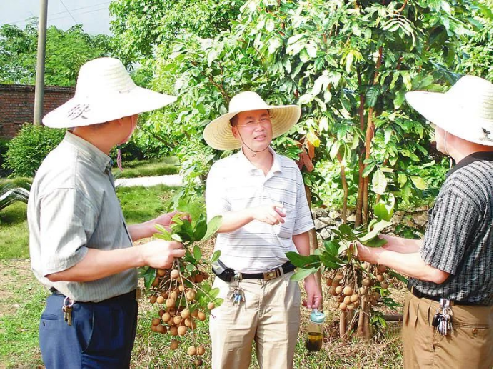 科技服务三农 典型案例㉕:“万山”佳果富“万家”315.png