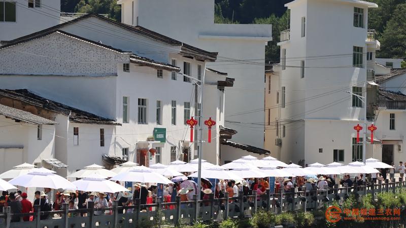 5 美食节现场。.jpg