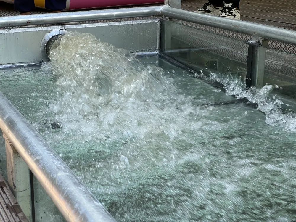 超带感！永泰这里又添玩水新项目啦~