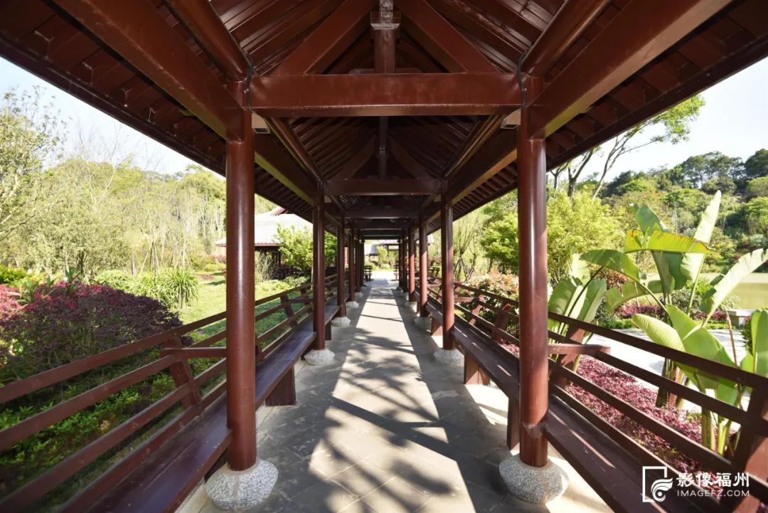 福州这5个网红公园，你打卡了吗？