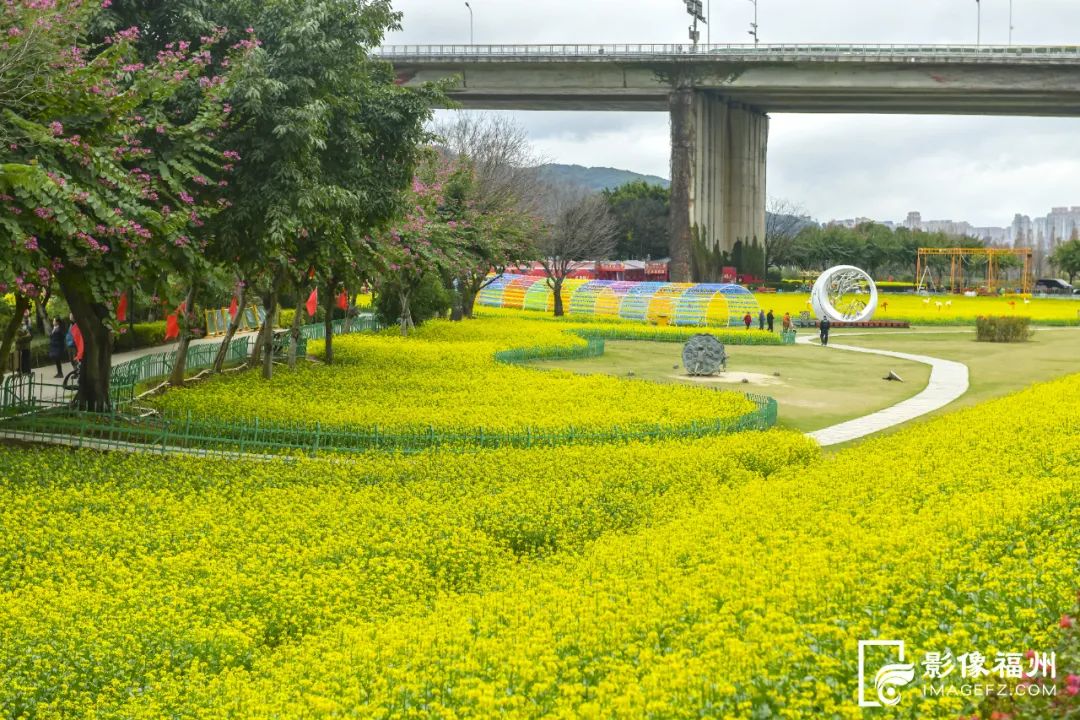 福州这5个网红公园，你打卡了吗？