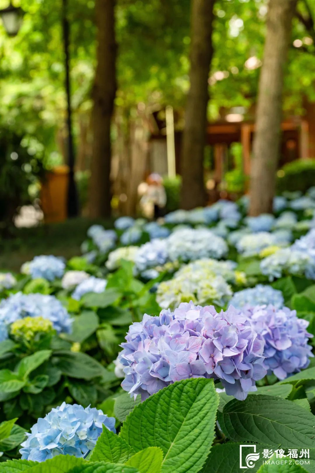 福州这5个网红公园，你打卡了吗？