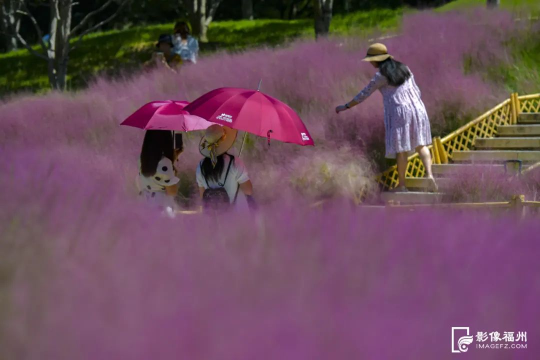 福州这5个网红公园，你打卡了吗？