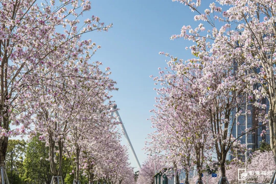 福州这5个网红公园，你打卡了吗？