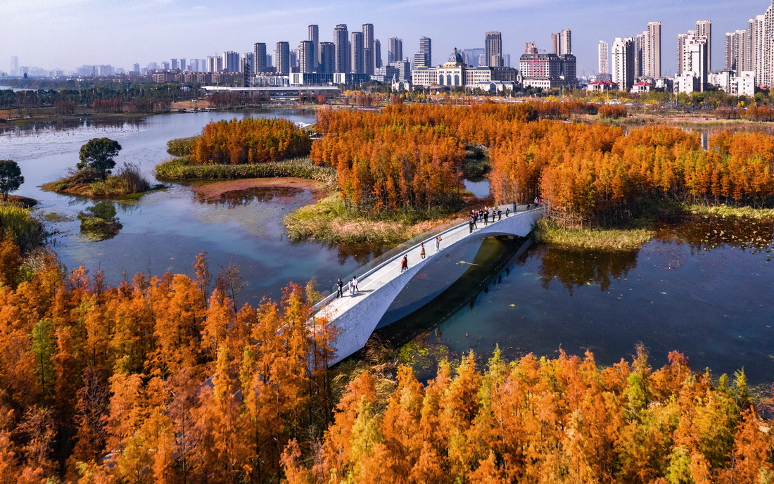 位于南昌市高新区的鱼尾洲湿地公园(2021年12月4日摄,无人机照片)。新华社记者 周密 摄