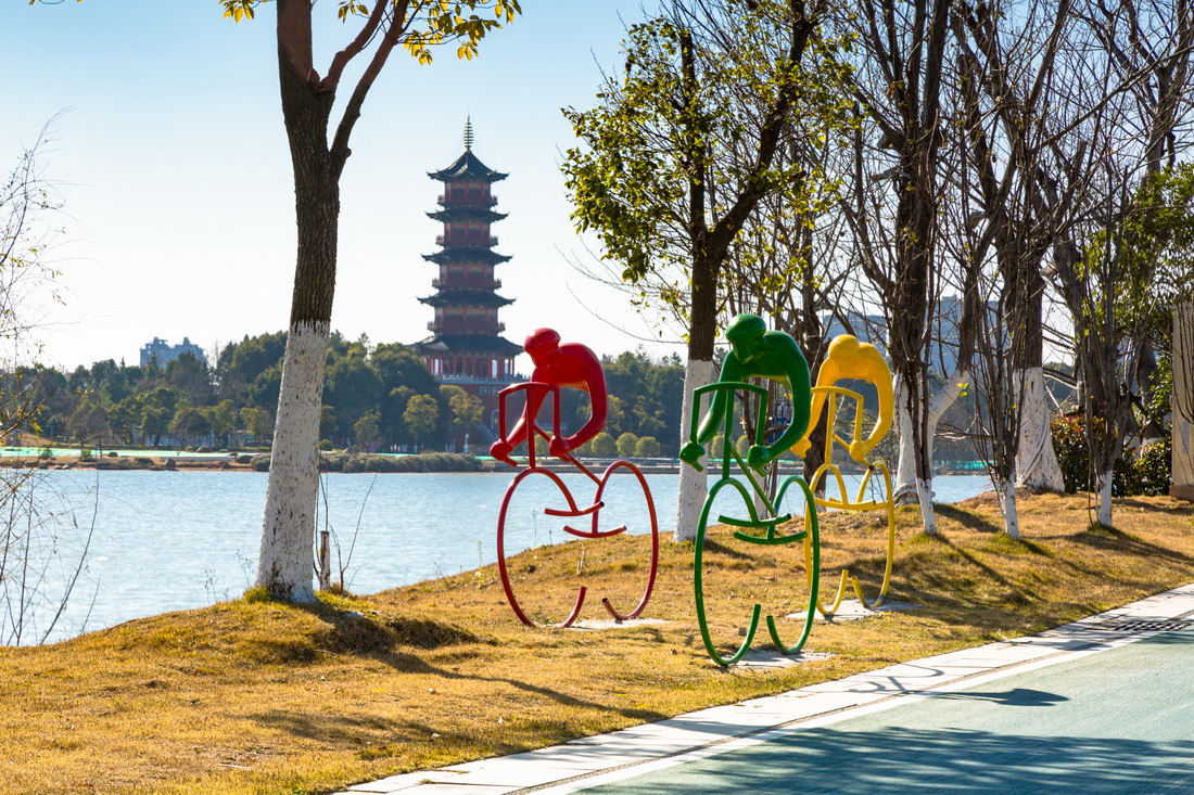 位于南昌市西湖区的象湖湿地公园(2021年1月12日摄)。新华社发(范玮 摄)