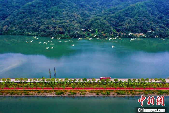 图为三明市将乐县常口村常源湖森林康养漫道。 三明市委宣传部供图