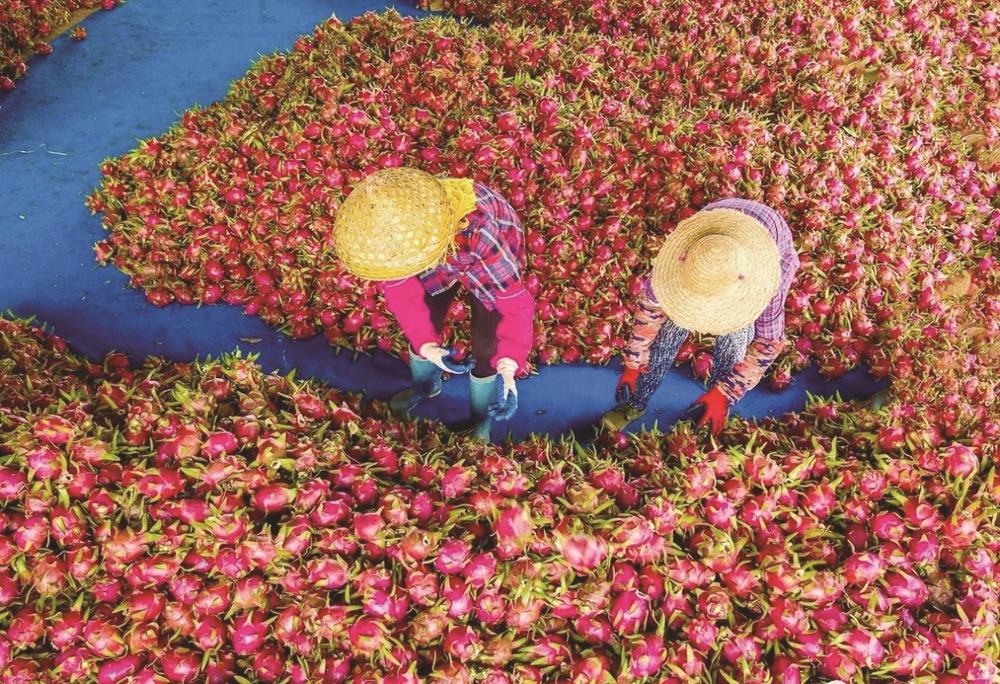 微信图片_20230921090005.jpg 微信图片_20230921090005.jpg