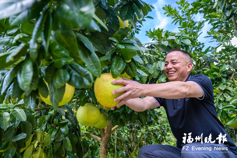 罗源王认村:最美梯田好“丰”景 罗源王认村:最美梯田好“丰”景