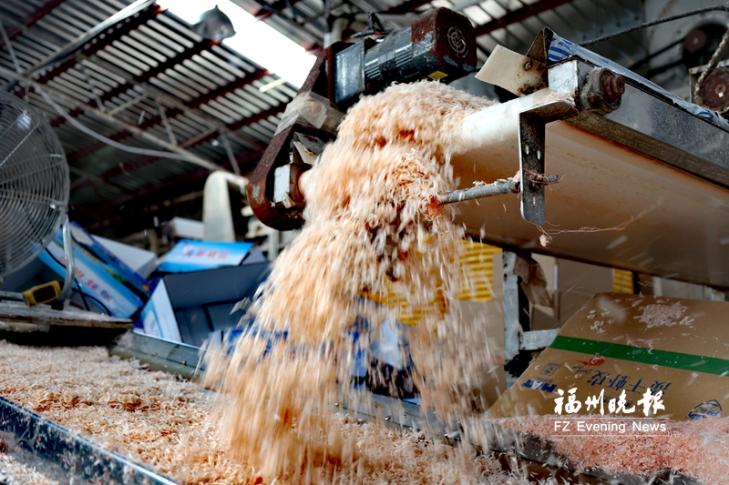 从“陆地虾工厂”到“海上虾航母” 连江三厘米虾皮“吃”下全国七成市场