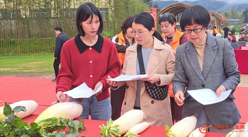 图片17_副本.png