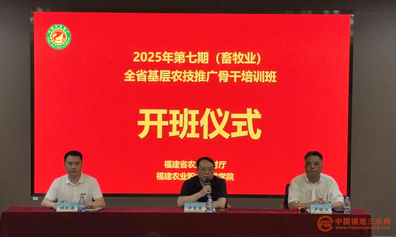 图片15.png