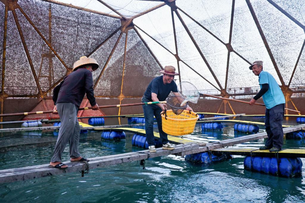 “海上粮仓”秋收忙