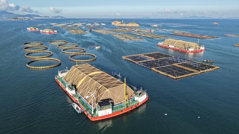 “海上粮仓”秋收忙