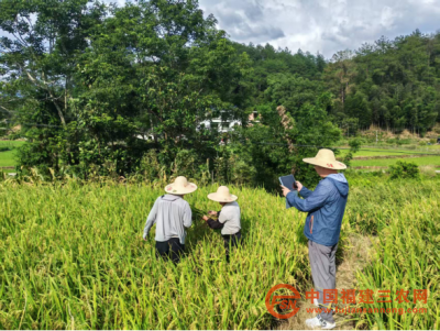 2.1.png
